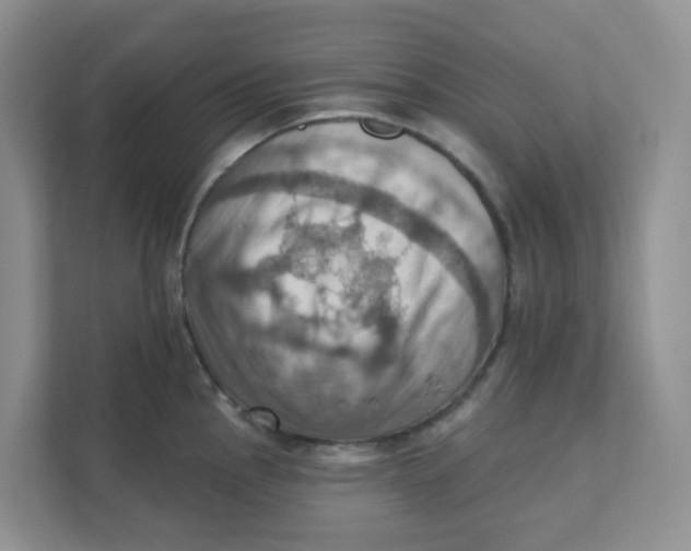 X0000111361145200907311007