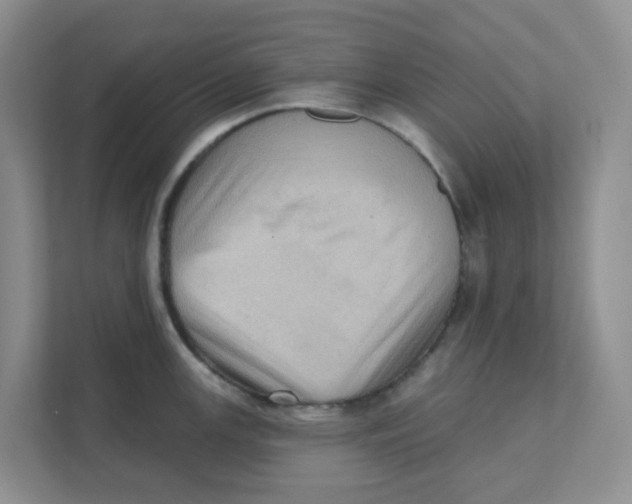 X0000111361147200907311007