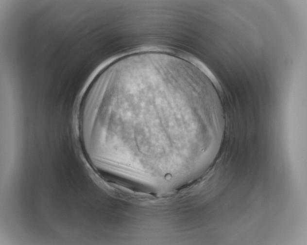 X0000111361148200907311007