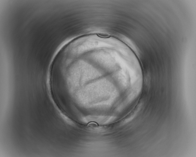 X0000111361149200907311008