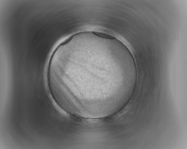 X0000111361152200907311008