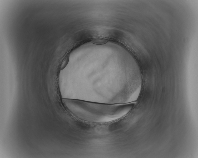 X0000111361153200907311007