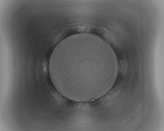 X0000111361154200907311007