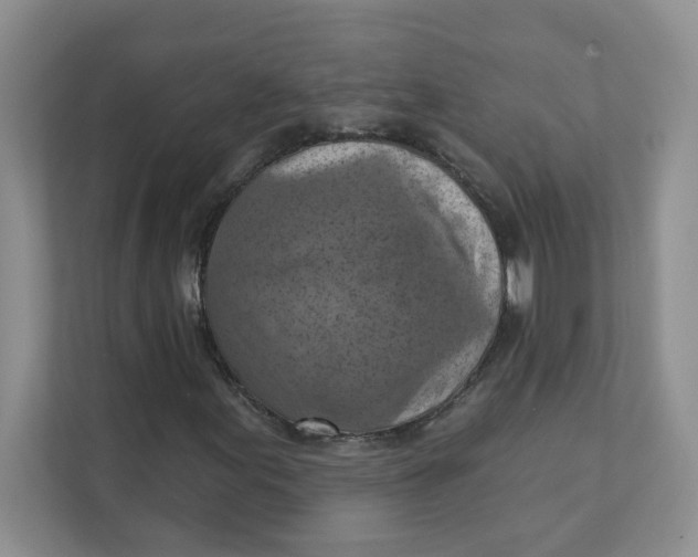 X0000111361155200907311007