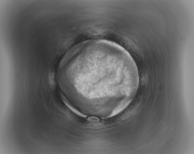 X0000111361156200907311007