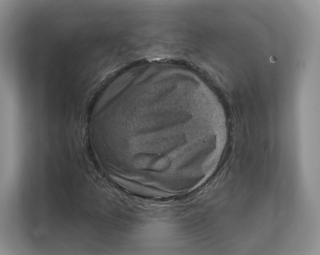 X0000111361157200907311007