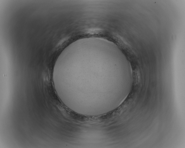 X0000111361158200907311007