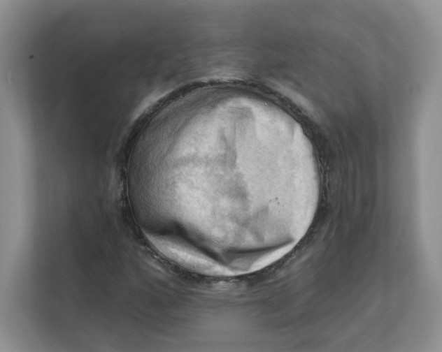 X0000111361160200907311007