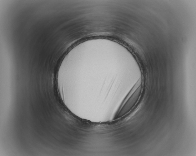 X0000111361161200907311007