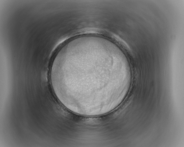 X0000111361166200907311007