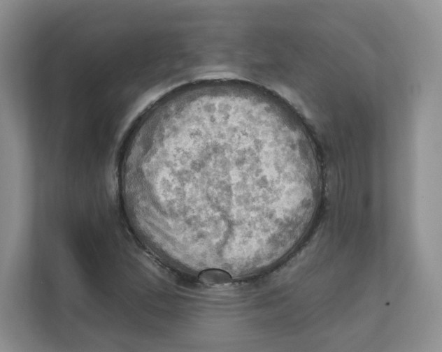 X0000111361167200907311007