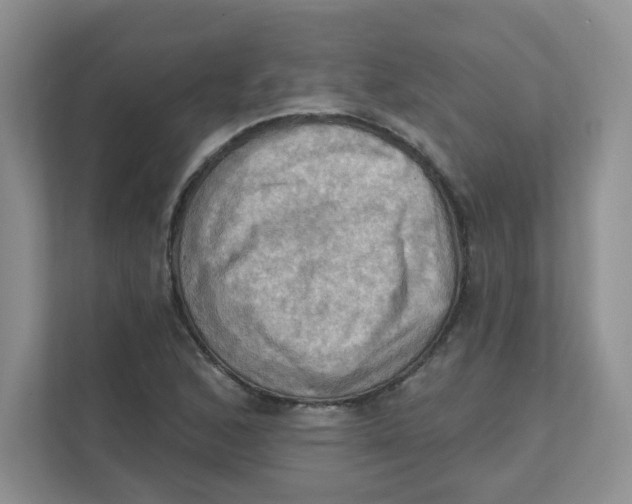 X0000111361168200907311007