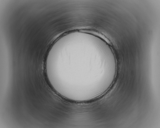 X0000111361169200907311007