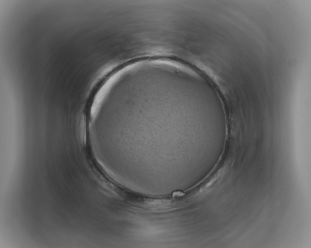 X0000111361171200907311007