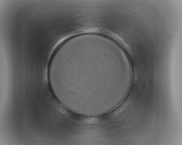 X0000111361174200907311006
