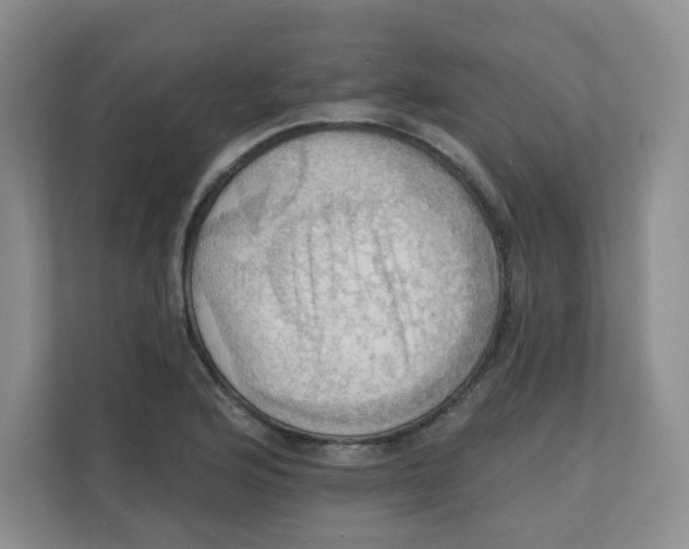 X0000111361176200907311006