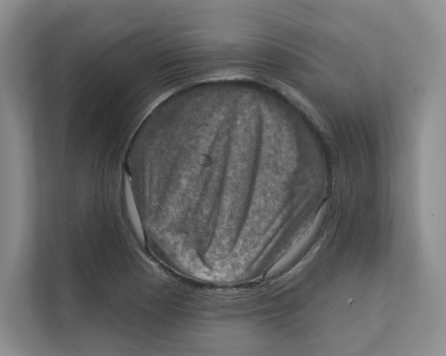 X0000111361177200907311006