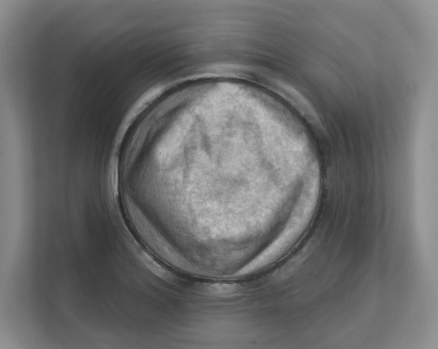 X0000111361180200907311006