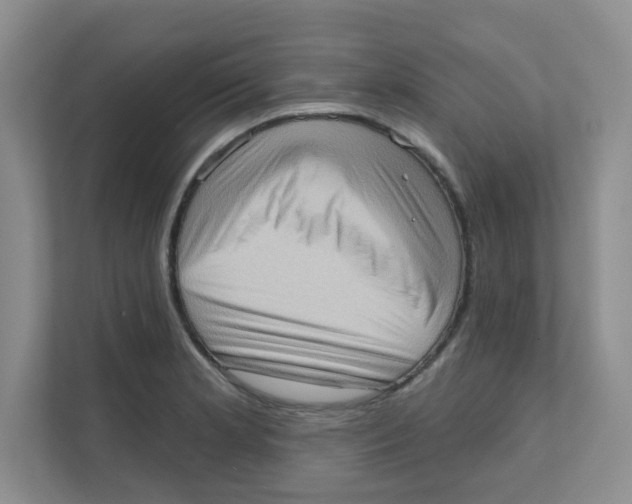 X0000111361181200907311006