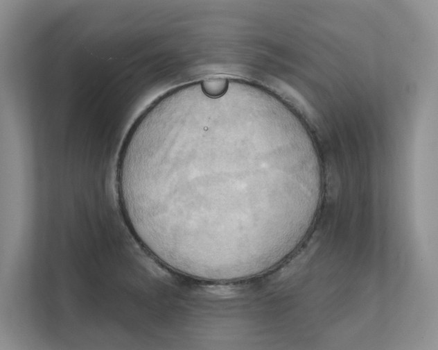 X0000111361182200907311006