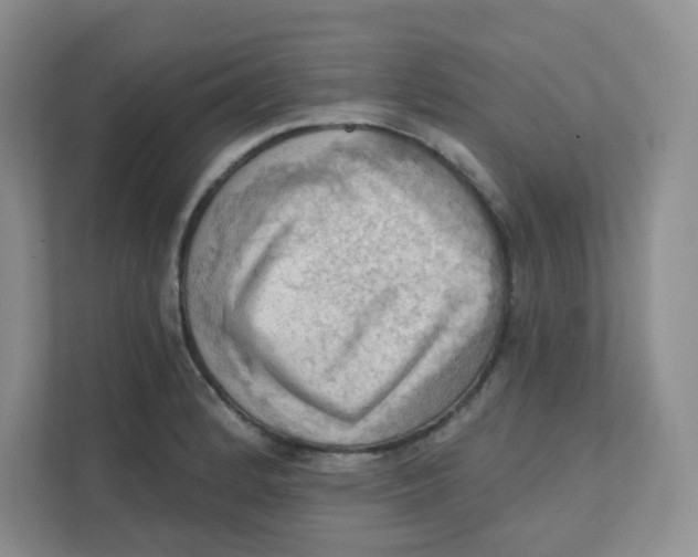 X0000111361184200907311006