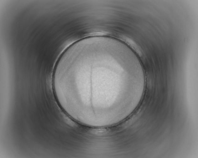 X0000111361186200907311006