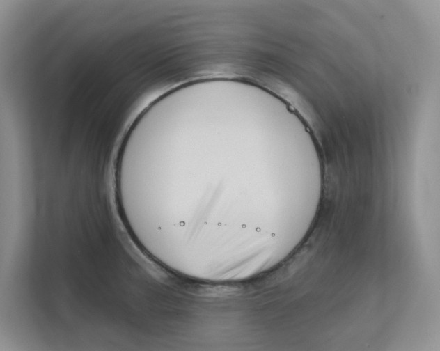 X0000111361187200907311006