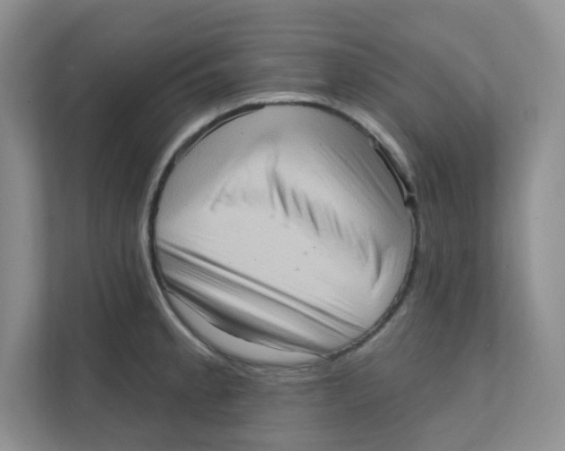 X0000111361189200907311006