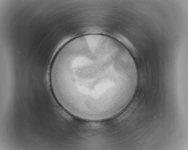 X0000111361190200907311006