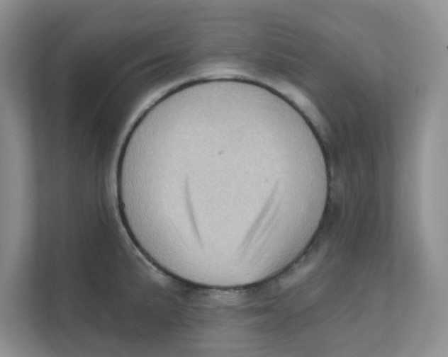 X0000111361191200907311006