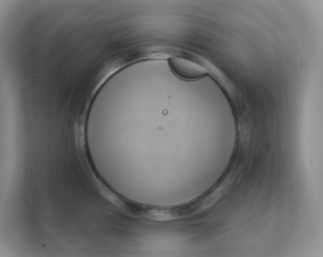 X0000111361194200907311006