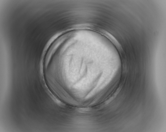 X0000111361196200907311006