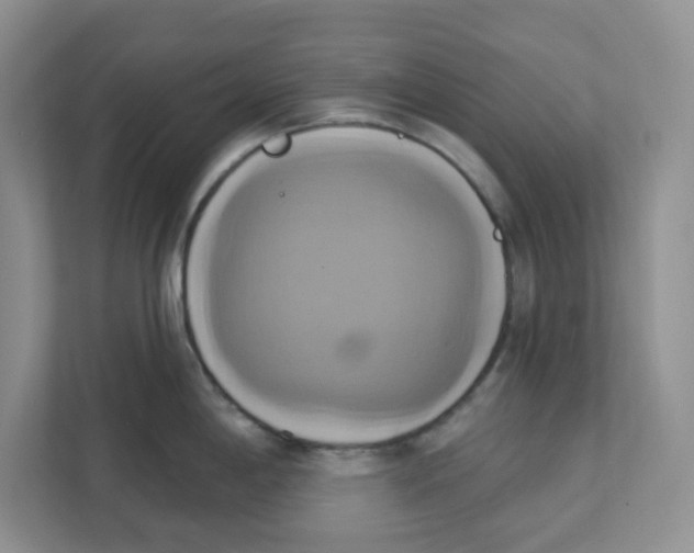 X0000111361198200907311006