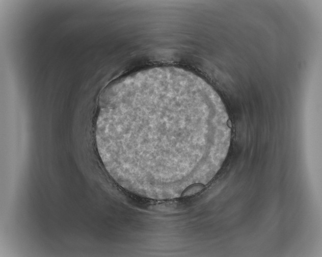 X0000111361201200907311005