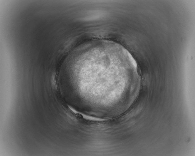 X0000111361202200907311005