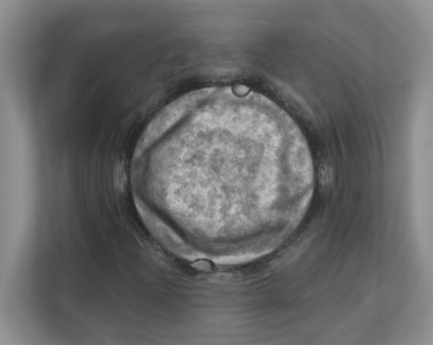 X0000111361204200907311005