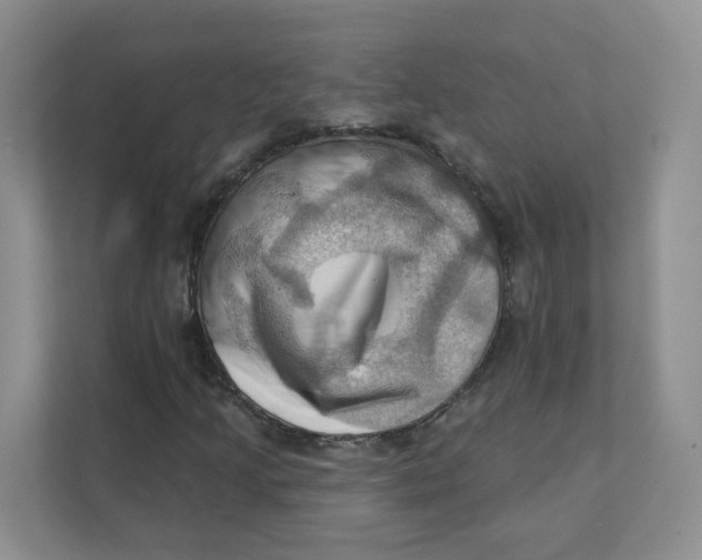 X0000111361205200907311005