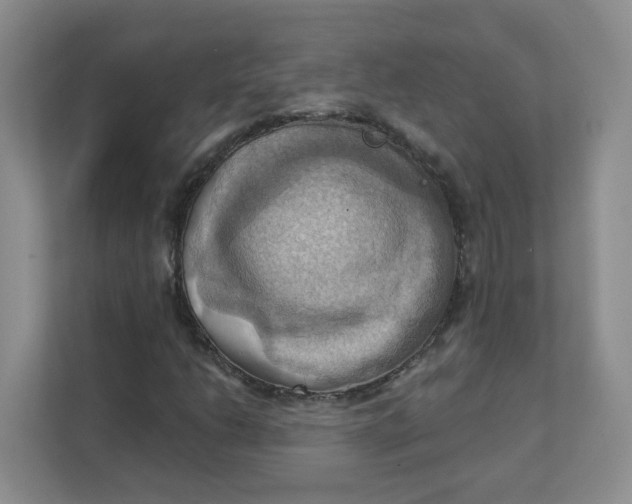 X0000111361206200907311005