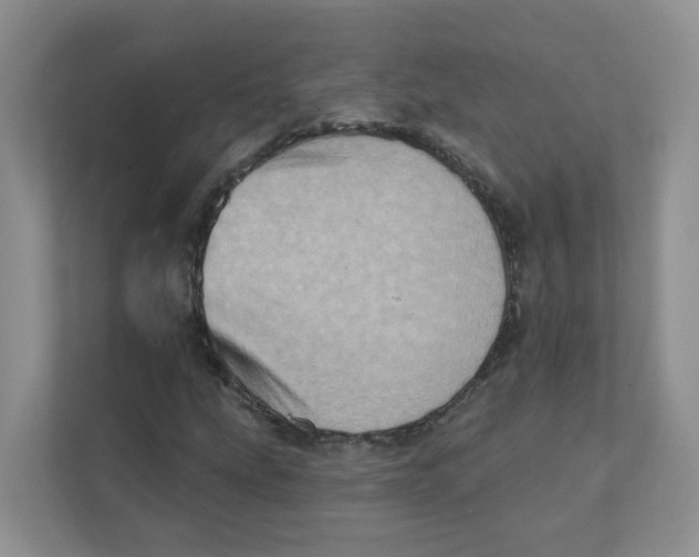 X0000111361207200907311005