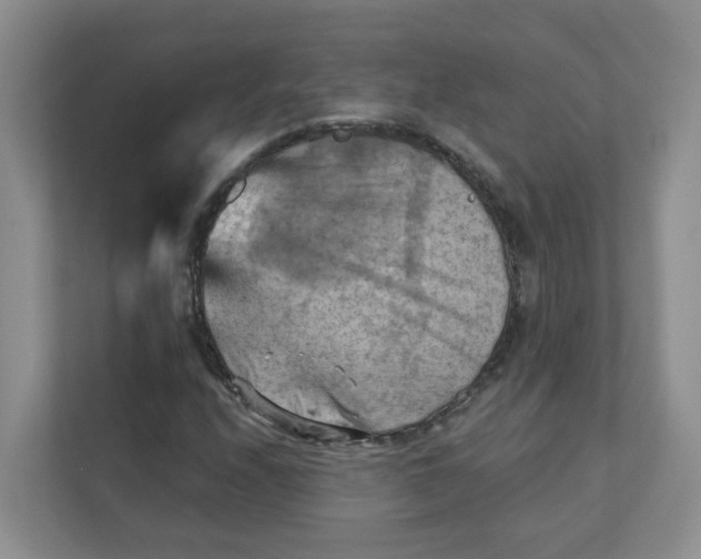 X0000111361208200907311005