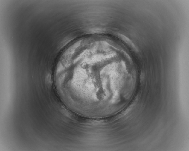 X0000111361209200907311005