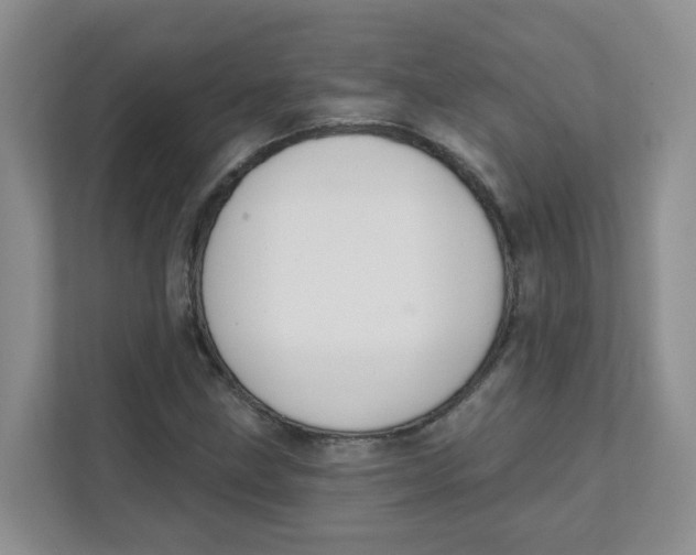 X0000111361211200907311005