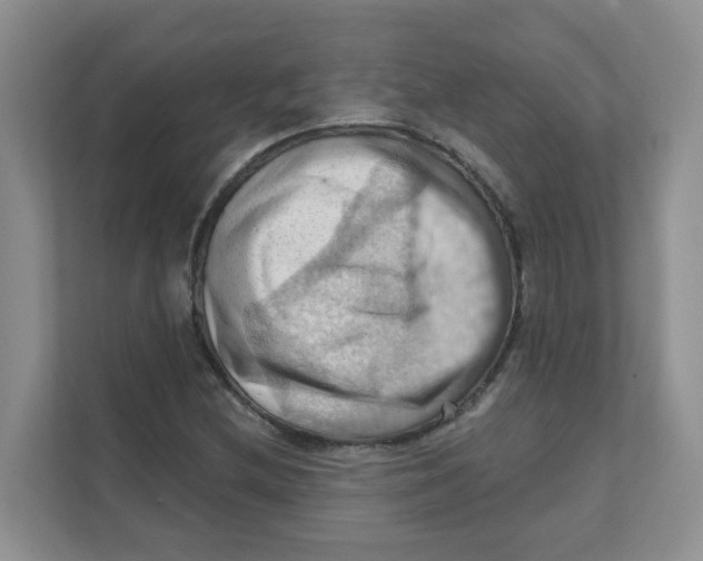 X0000111361212200907311005