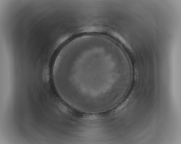 X0000111361213200907311005