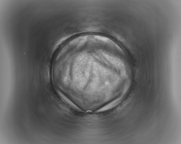 X0000111361214200907311005