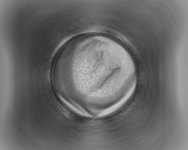 X0000111361216200907311006