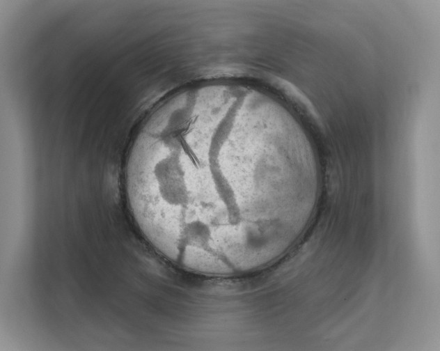 X0000111361217200907311006