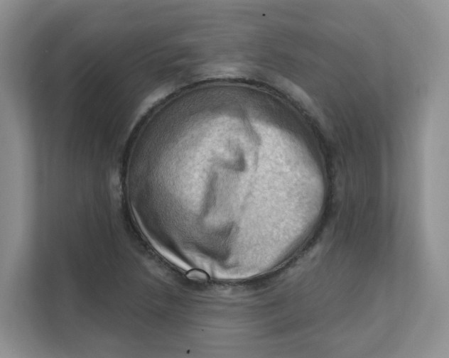 X0000111361218200907311006