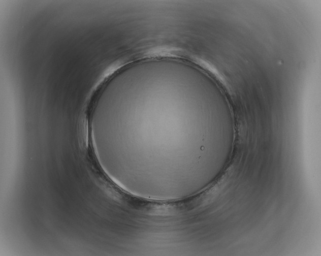 X0000111361219200907311006