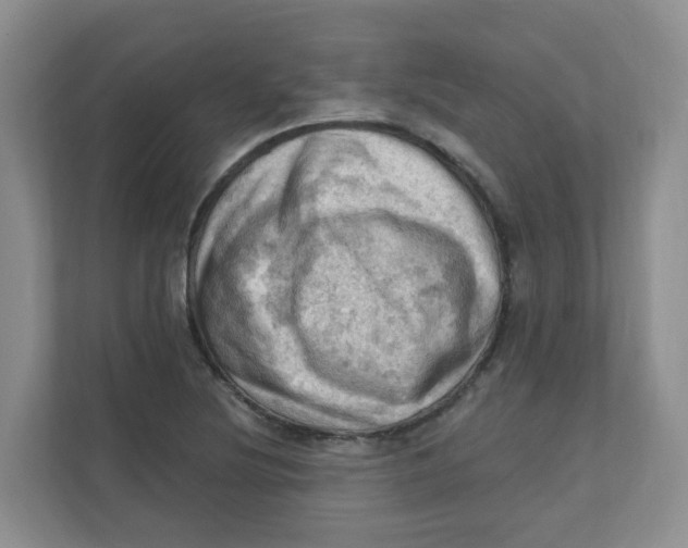 X0000111361220200907311006